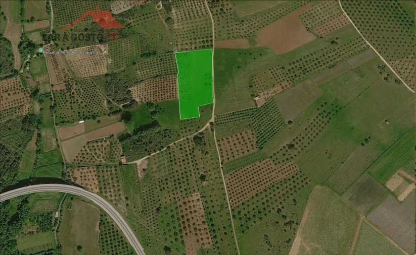 Terreno para Venda em Macedo de Cavaleiros Foto 6