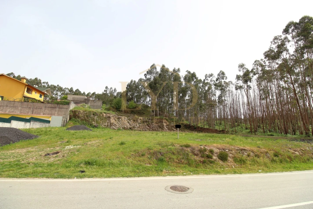 Terreno para Venda em Canedo, Vale e Vila Maior Foto 6