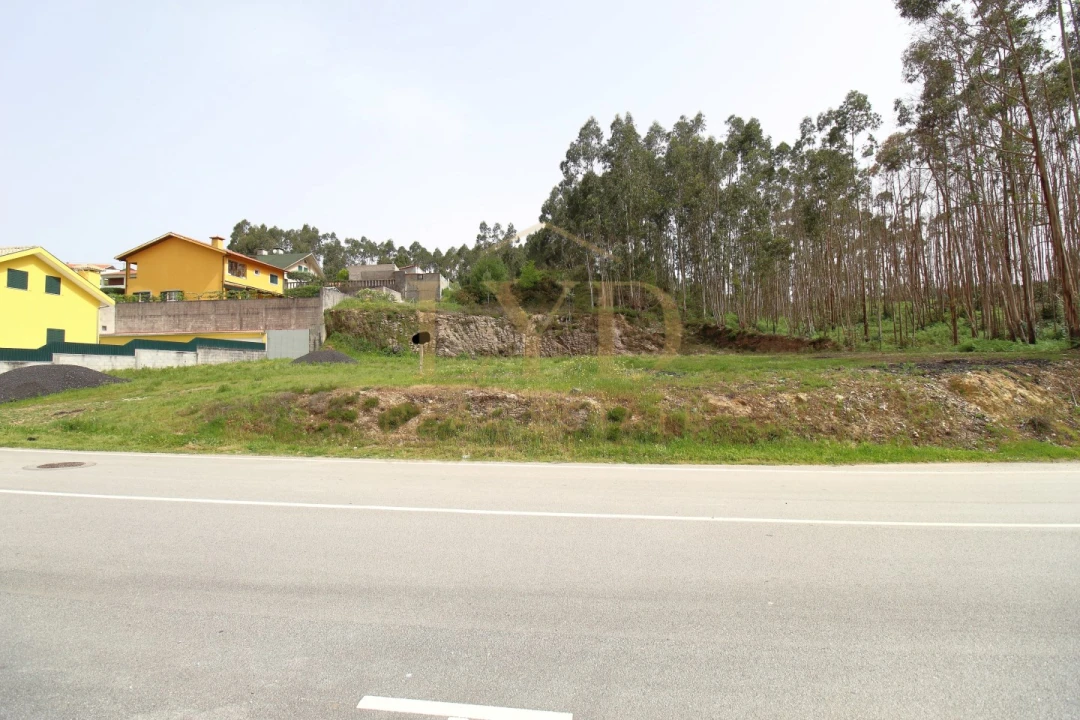 Terreno para Venda em Canedo, Vale e Vila Maior Foto 9