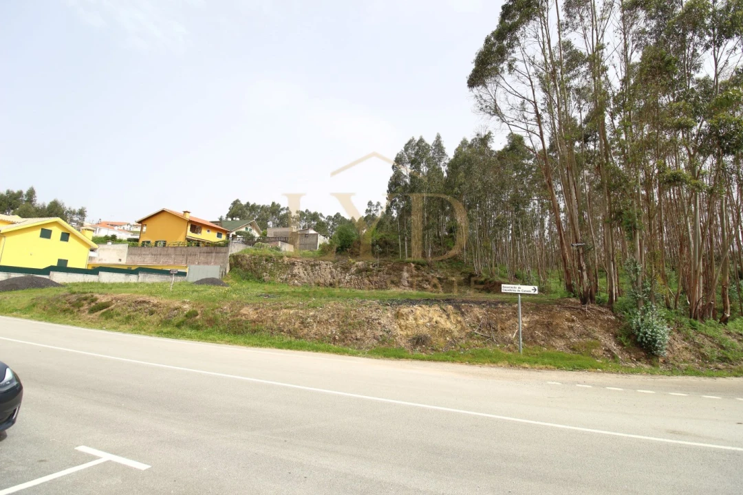 Terreno para Venda em Canedo, Vale e Vila Maior Foto 11