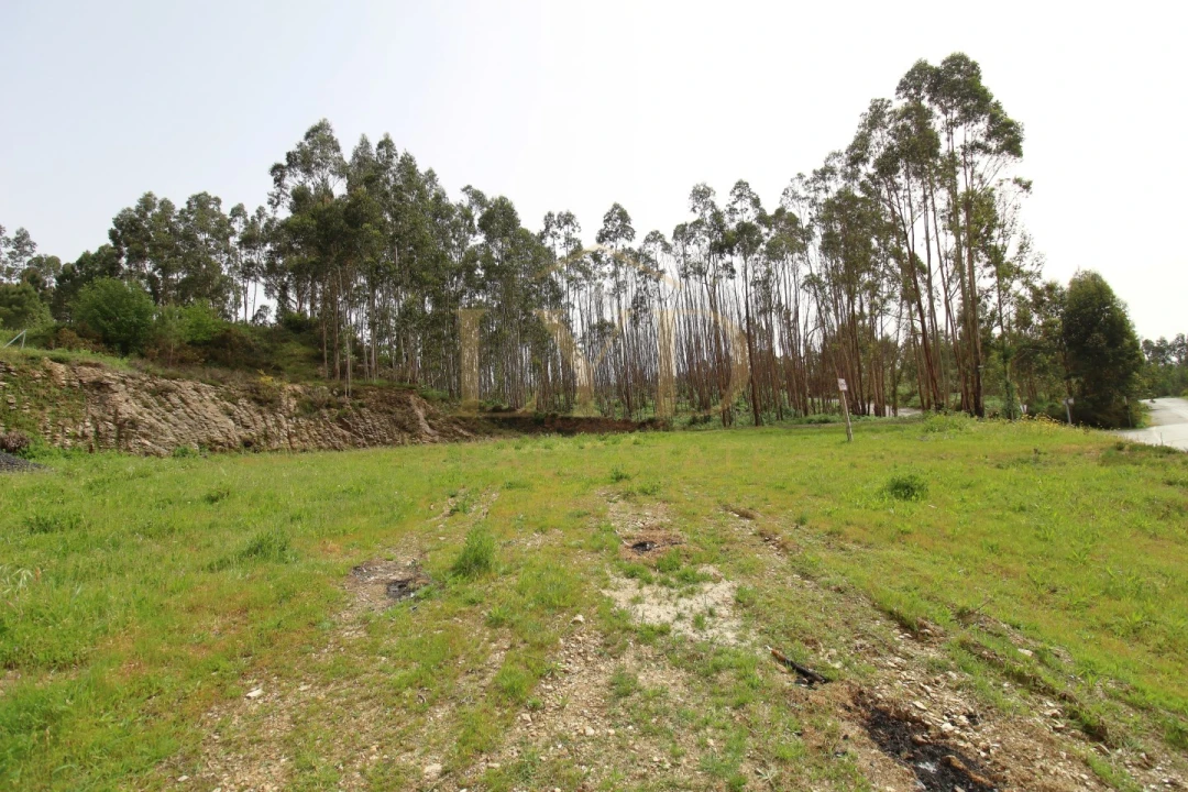 Terreno para Venda em Canedo, Vale e Vila Maior Foto 12
