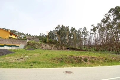 Terreno para Venda em Canedo, Vale e Vila Maior