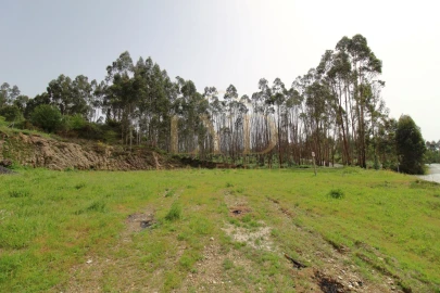 Terreno para Venda em Canedo, Vale e Vila Maior