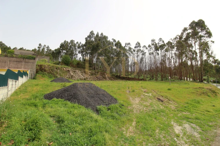 Terreno para Venda em Canedo, Vale e Vila Maior Foto 8
