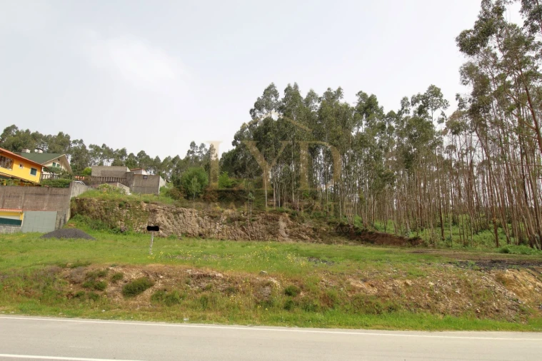 Terreno para Venda em Canedo, Vale e Vila Maior Foto 10