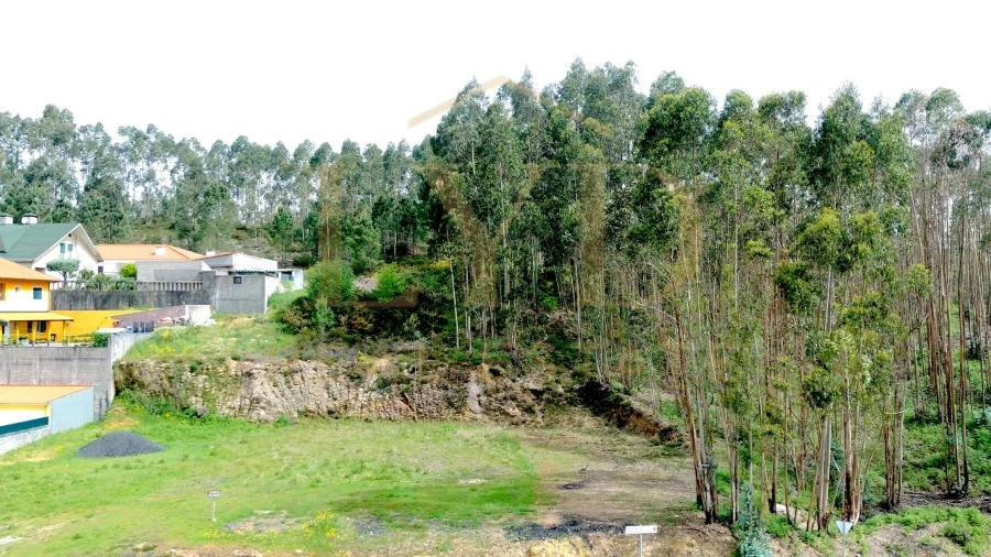 Terreno para Venda em Canedo, Vale e Vila Maior