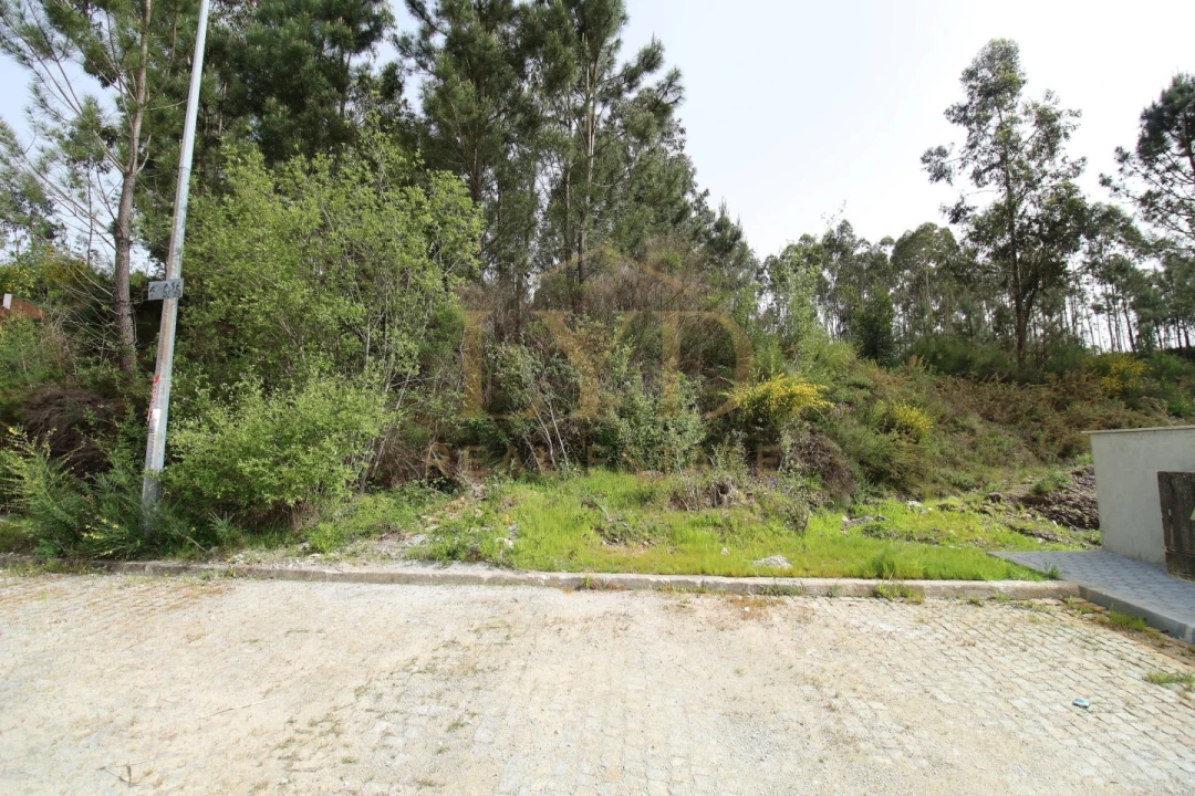 Terreno para Venda em Canedo, Vale e Vila Maior Foto 13