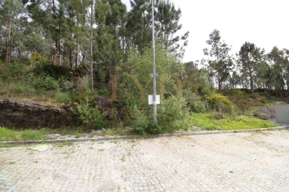 Terreno para Venda em Canedo, Vale e Vila Maior