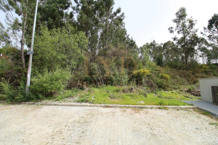 Terreno para Venda em Canedo, Vale e Vila Maior Foto 13