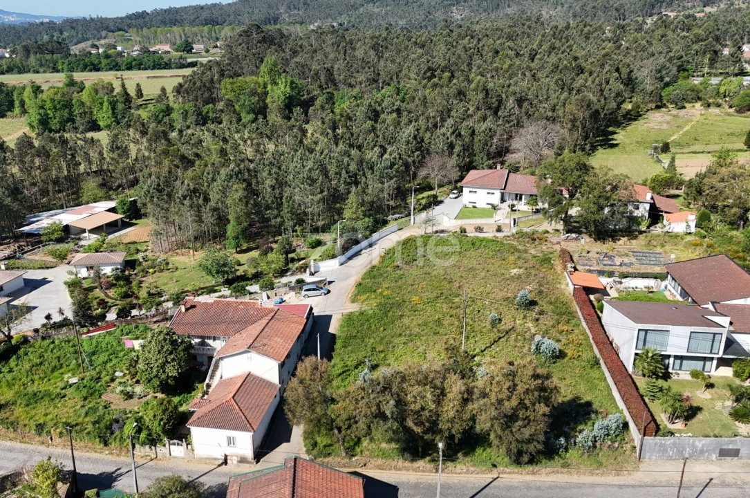 Terreno para Venda em Lama Foto 14
