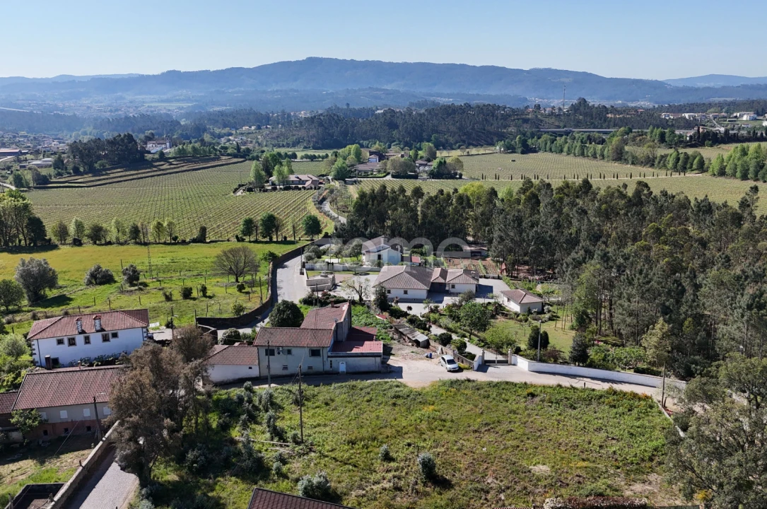 Terreno para Venda em Lama Foto 13