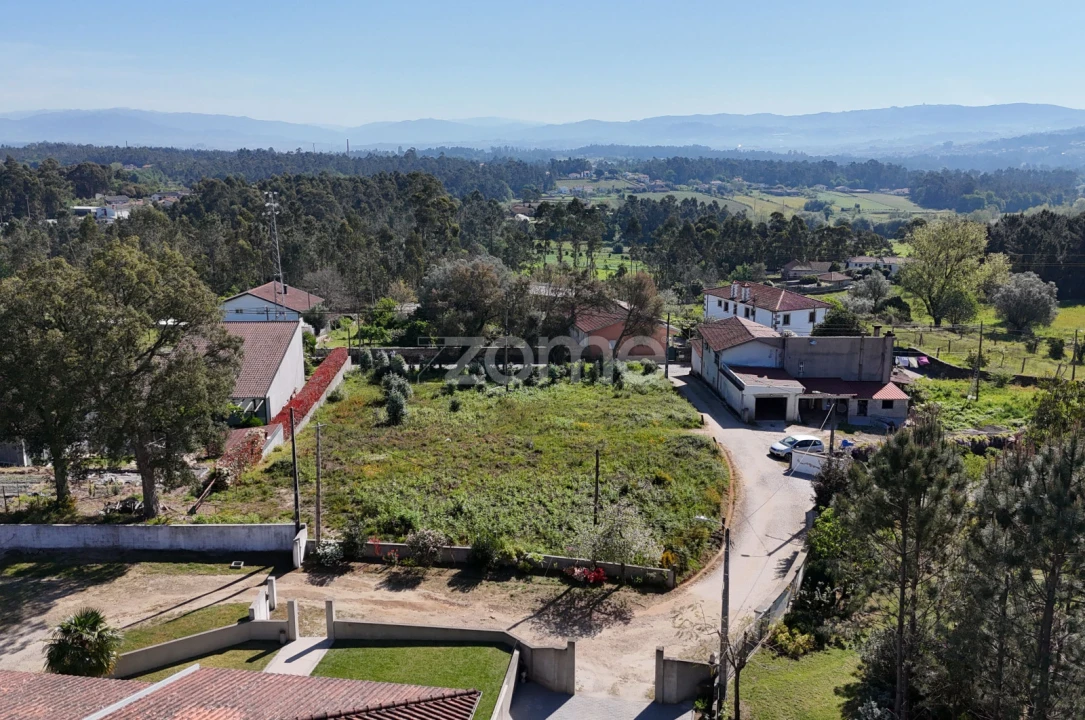 Terreno para Venda em Lama Foto 12