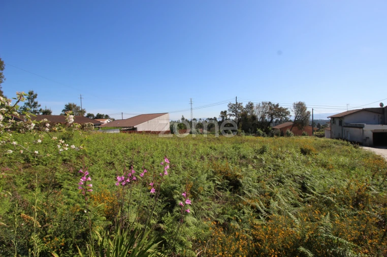 Terreno para Venda em Lama Foto 6