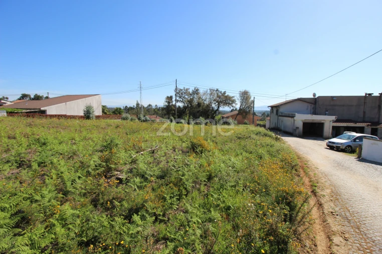 Terreno para Venda em Lama Foto 7