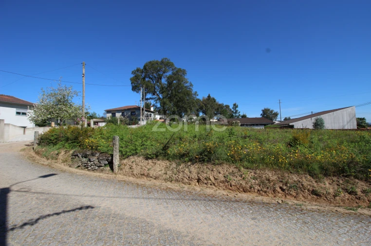 Terreno para Venda em Lama Foto 8