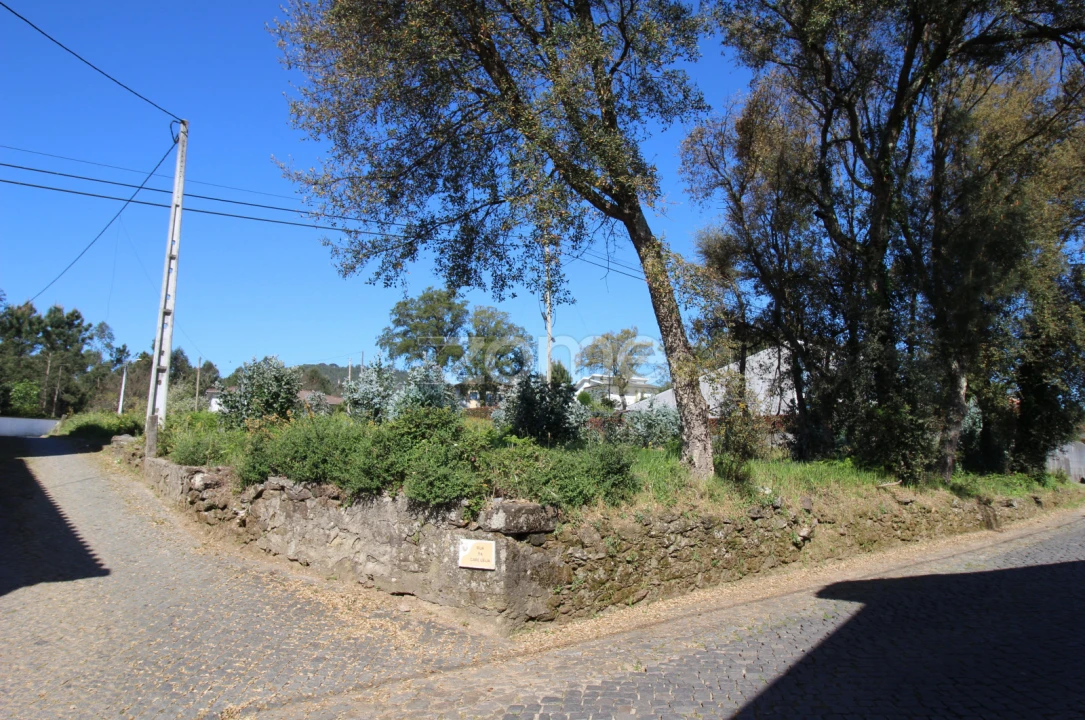 Terreno para Venda em Lama Foto 4