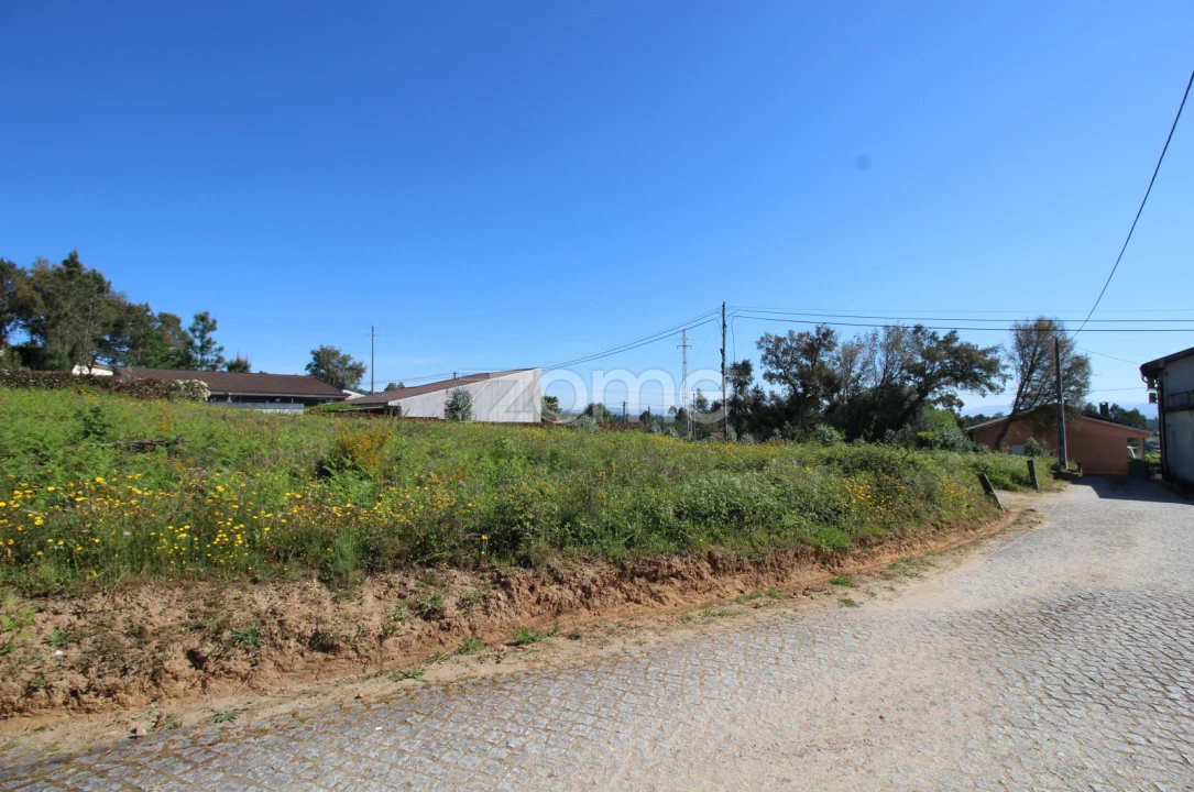 Terreno para Venda em Lama Foto 5