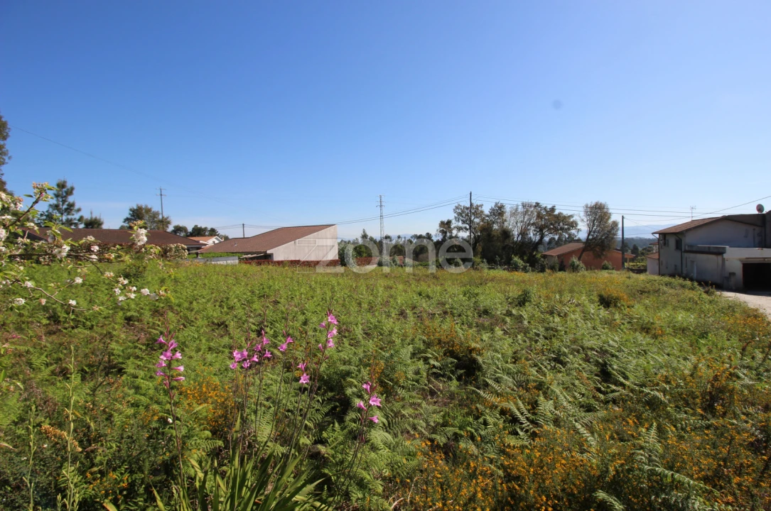 Terreno para Venda em Lama Foto 6