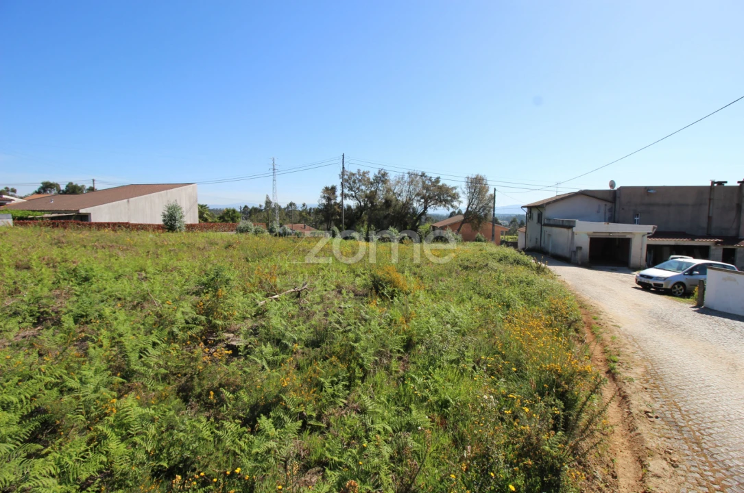 Terreno para Venda em Lama Foto 7