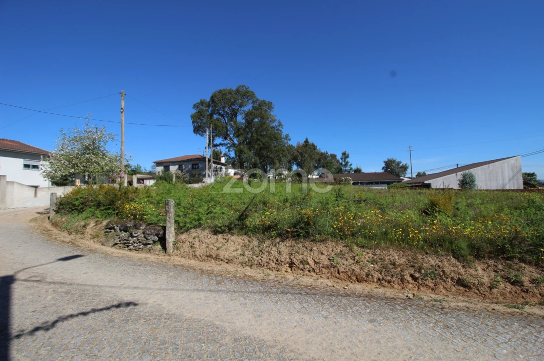 Terreno para Venda em Lama Foto 8