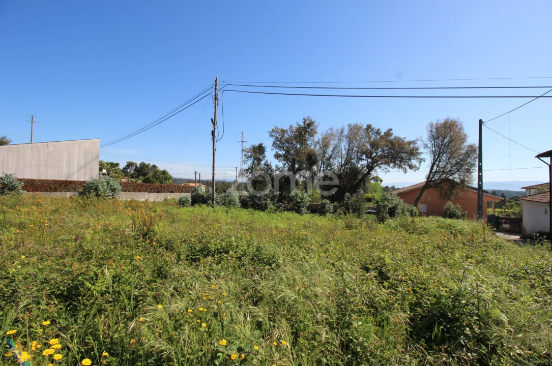 Terreno para Venda em Lama Foto 9