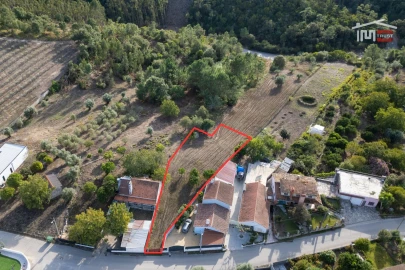 Terreno Agricola ou Rústico para Venda em Santa Catarina da Serra e Chainça