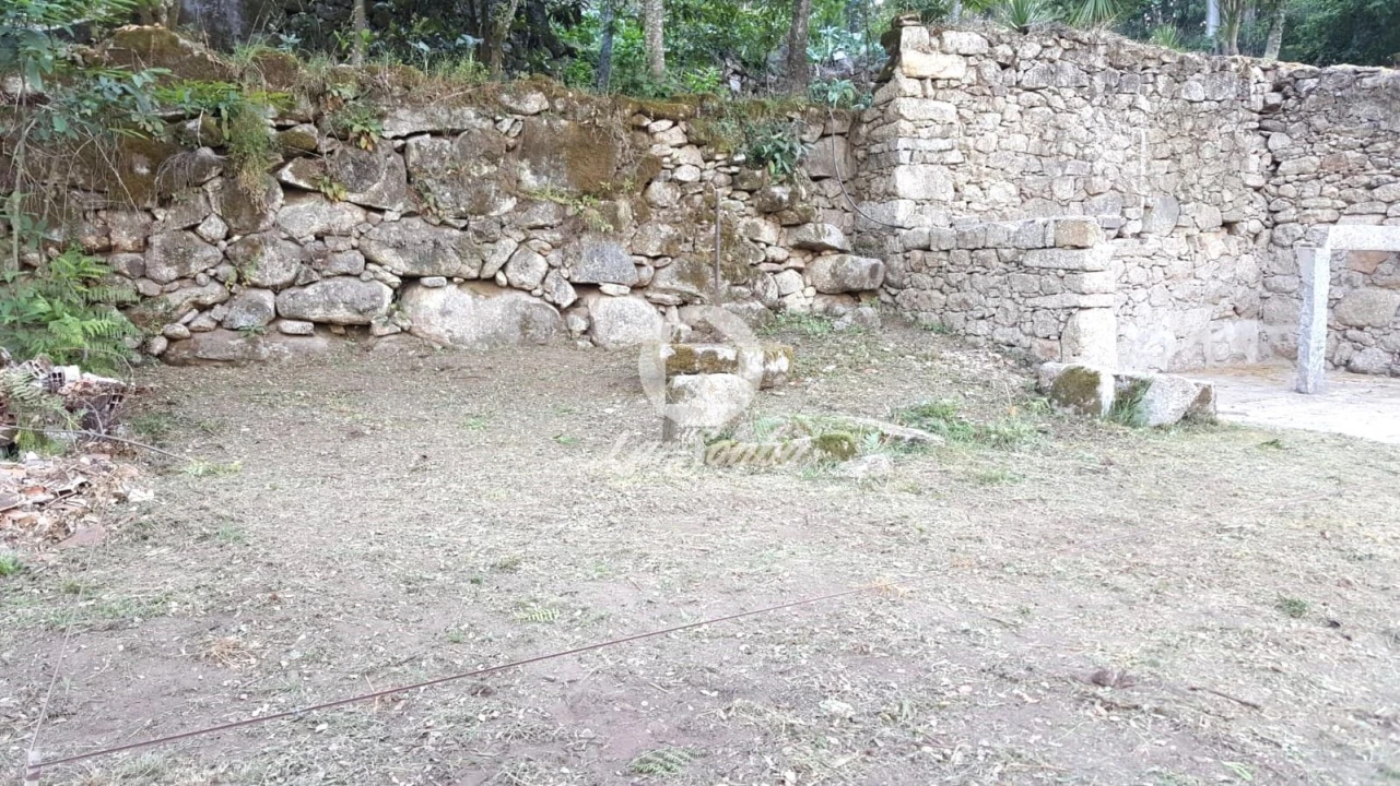 Terreno para Venda em Campo e Tamel (São Pedro Fins) Foto 15