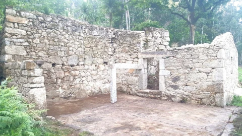 Terreno para Venda em Campo e Tamel (São Pedro Fins)