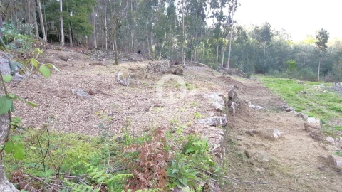 Terreno para Venda em Campo e Tamel (São Pedro Fins)