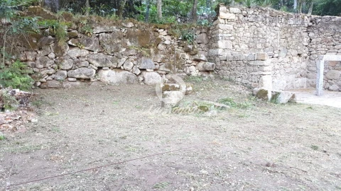 Terreno para Venda em Campo e Tamel (São Pedro Fins)