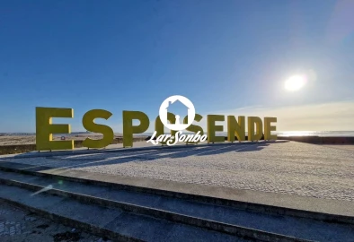 Terreno para Venda em Campo e Tamel (São Pedro Fins)