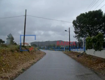 Armazém para Venda em Bemposta