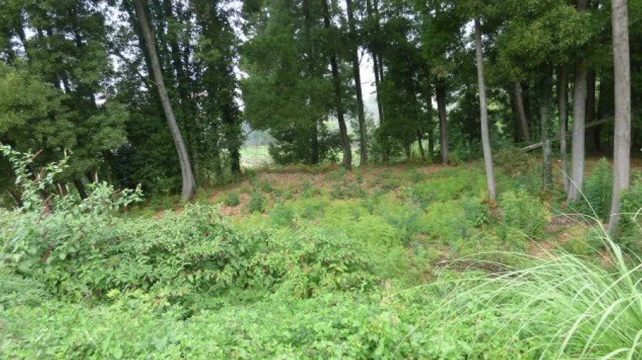 Terreno Misto para Venda em Oliveira do Douro