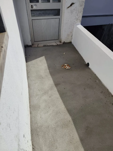 Apartamento T2 para Venda em Vila Nova da Rainha