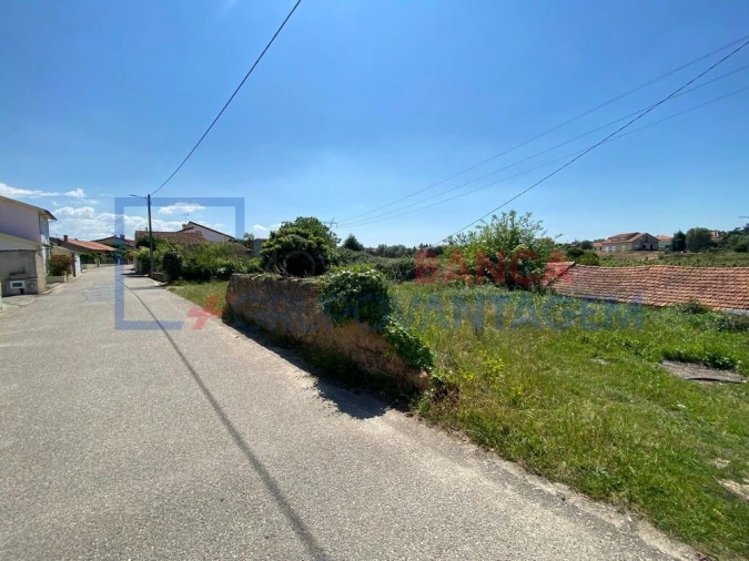 Terreno para Venda em Amoreira da Gândara, Paredes do Bairro e Ancas Foto 6