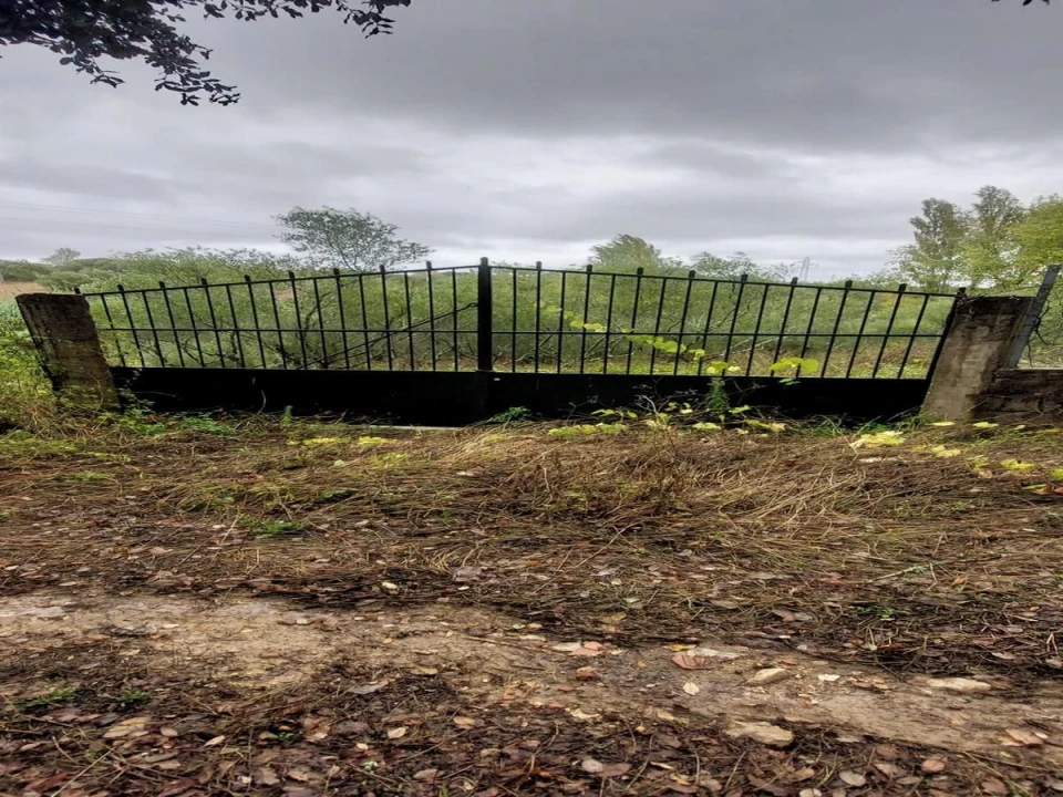 Terreno Agricola ou Rústico para Venda em Torres Novas (Santa Maria, Salvador e Santiago) Foto 11