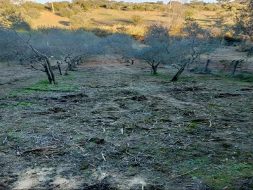 Terreno Agricola ou Rústico para Venda em Torres Novas (Santa Maria, Salvador e Santiago)