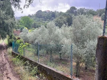 Terreno Agricola ou Rústico para Venda em Torres Novas (Santa Maria, Salvador e Santiago)