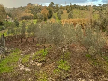Terreno Agricola ou Rústico para Venda em Torres Novas (Santa Maria, Salvador e Santiago)