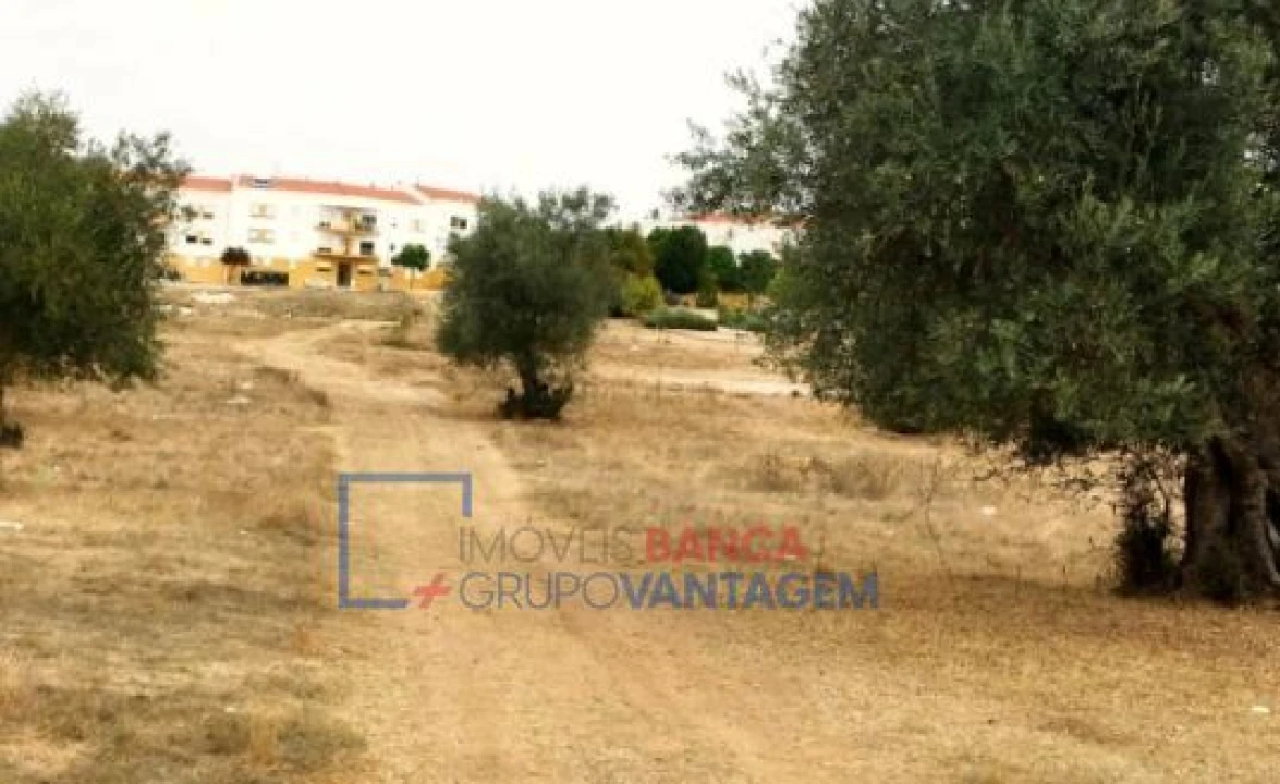 Terreno para Venda em Serpa (Salvador e Santa Maria) Foto 1