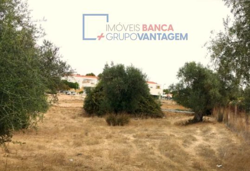 Terreno para Venda em Serpa (Salvador e Santa Maria) Foto 6