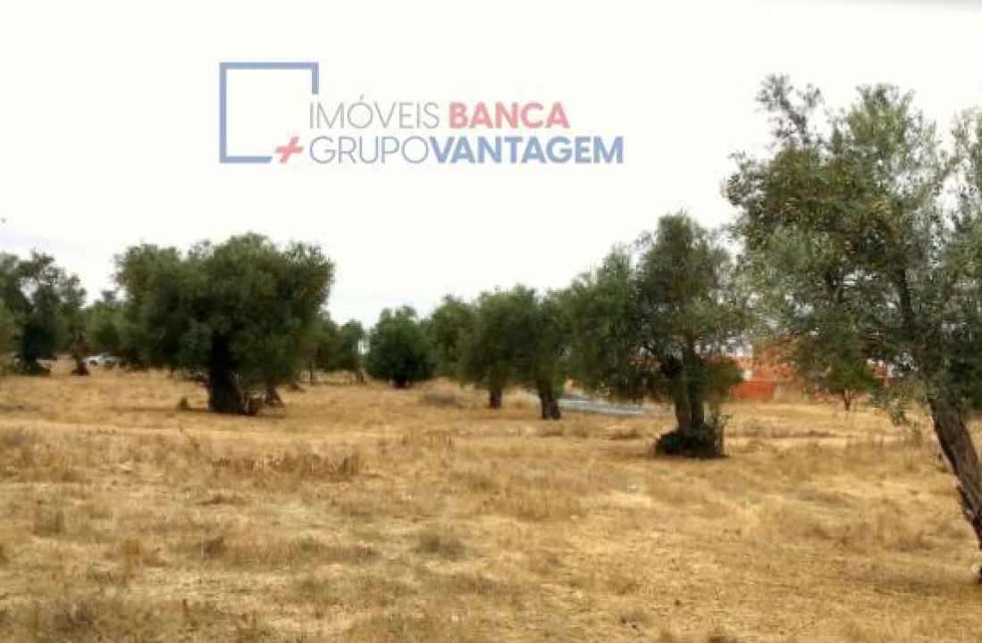 Terreno para Venda em Serpa (Salvador e Santa Maria) Foto 7