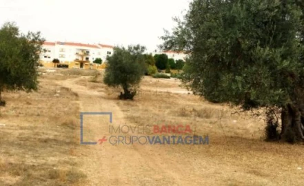 Terreno para Venda em Serpa (Salvador e Santa Maria)