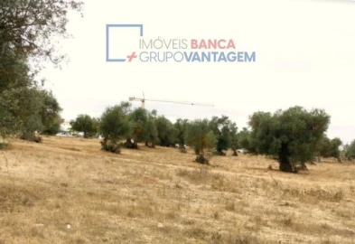 Terreno para Venda em Serpa (Salvador e Santa Maria)