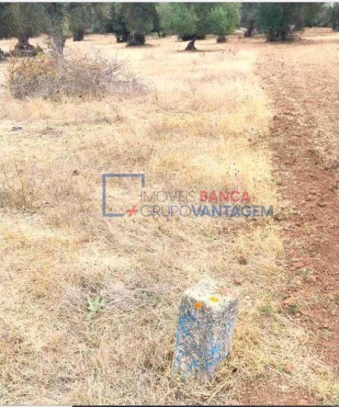 Terreno para Venda em Serpa (Salvador e Santa Maria)