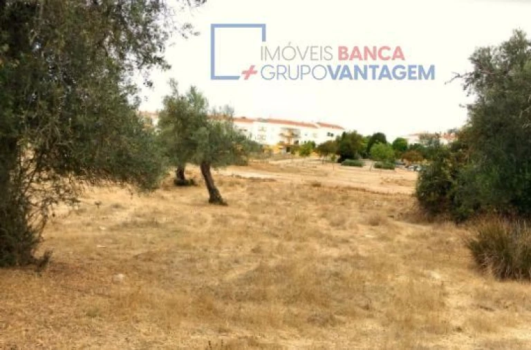 Terreno para Venda em Serpa (Salvador e Santa Maria) Foto 2