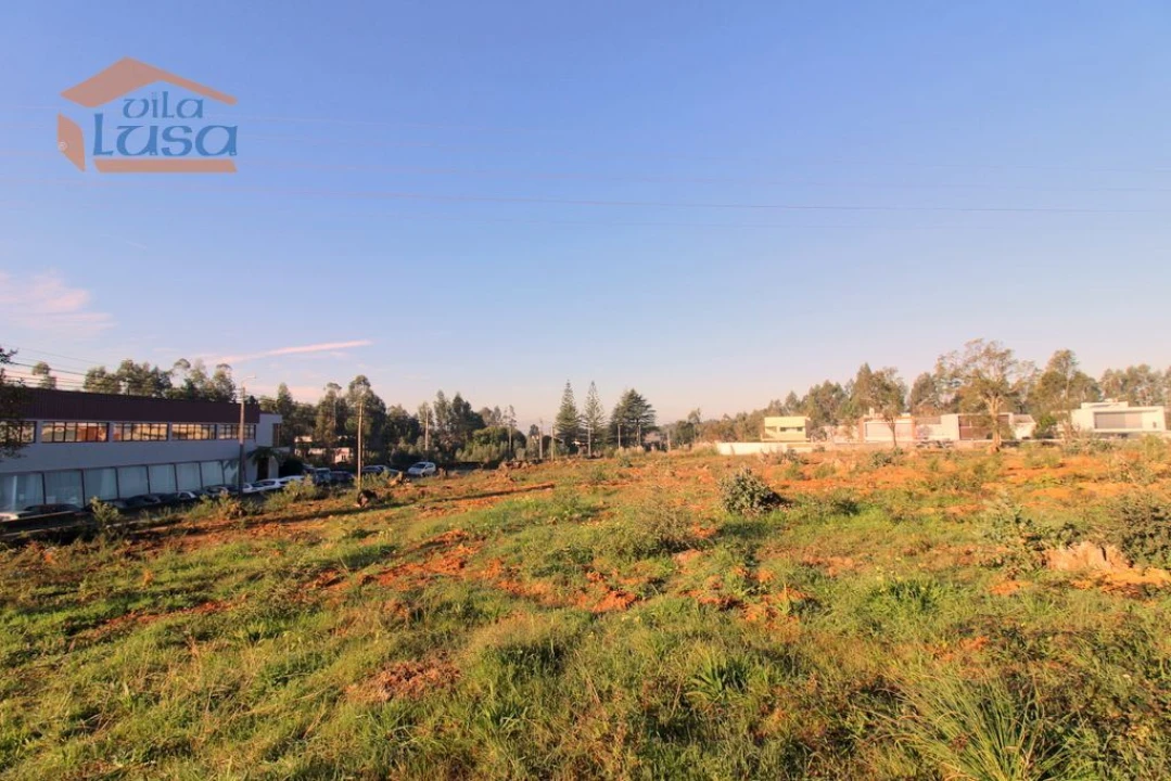 Terreno P/ Prédio para Venda em Grijó e Sermonde Foto 3