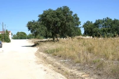 Terreno P/ Prédio para Venda em Fernao Ferro