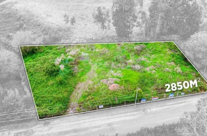 Terreno Agricola ou Rústico para Venda em Rio Meão