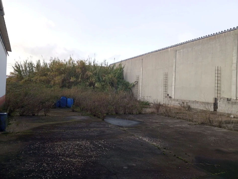 Armazém para Venda em Alcanena e Vila Moreira Foto 7